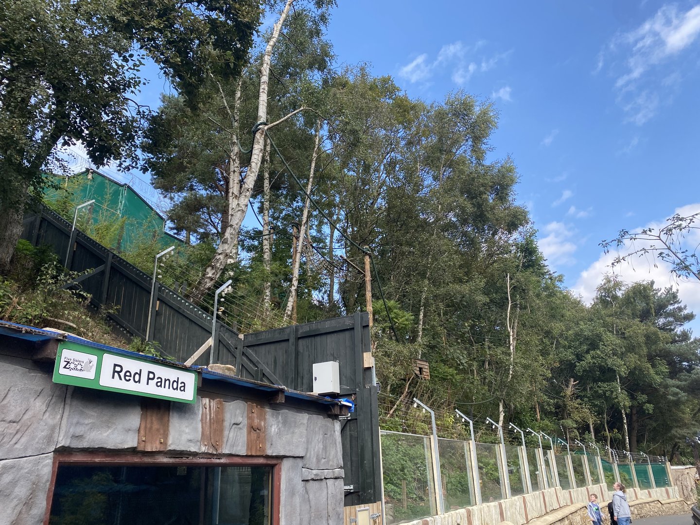 Nepalese red panda enclosure 200922