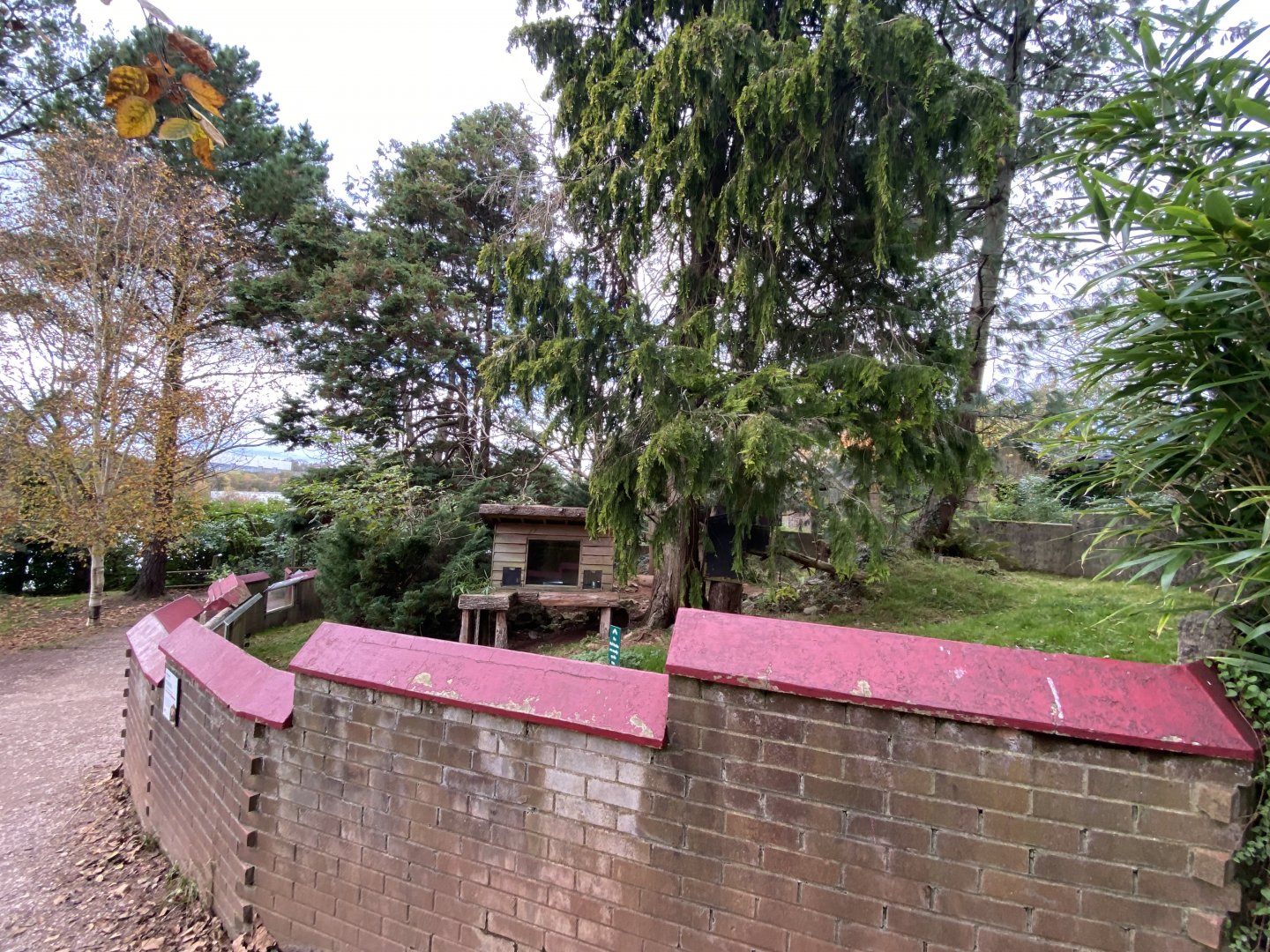Nepalese red panda enclosure 201121