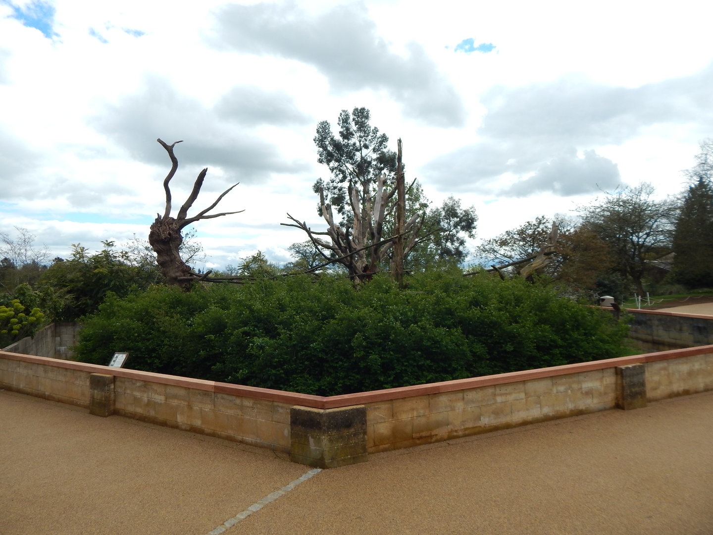 Nepalese red panda enclosure 280423