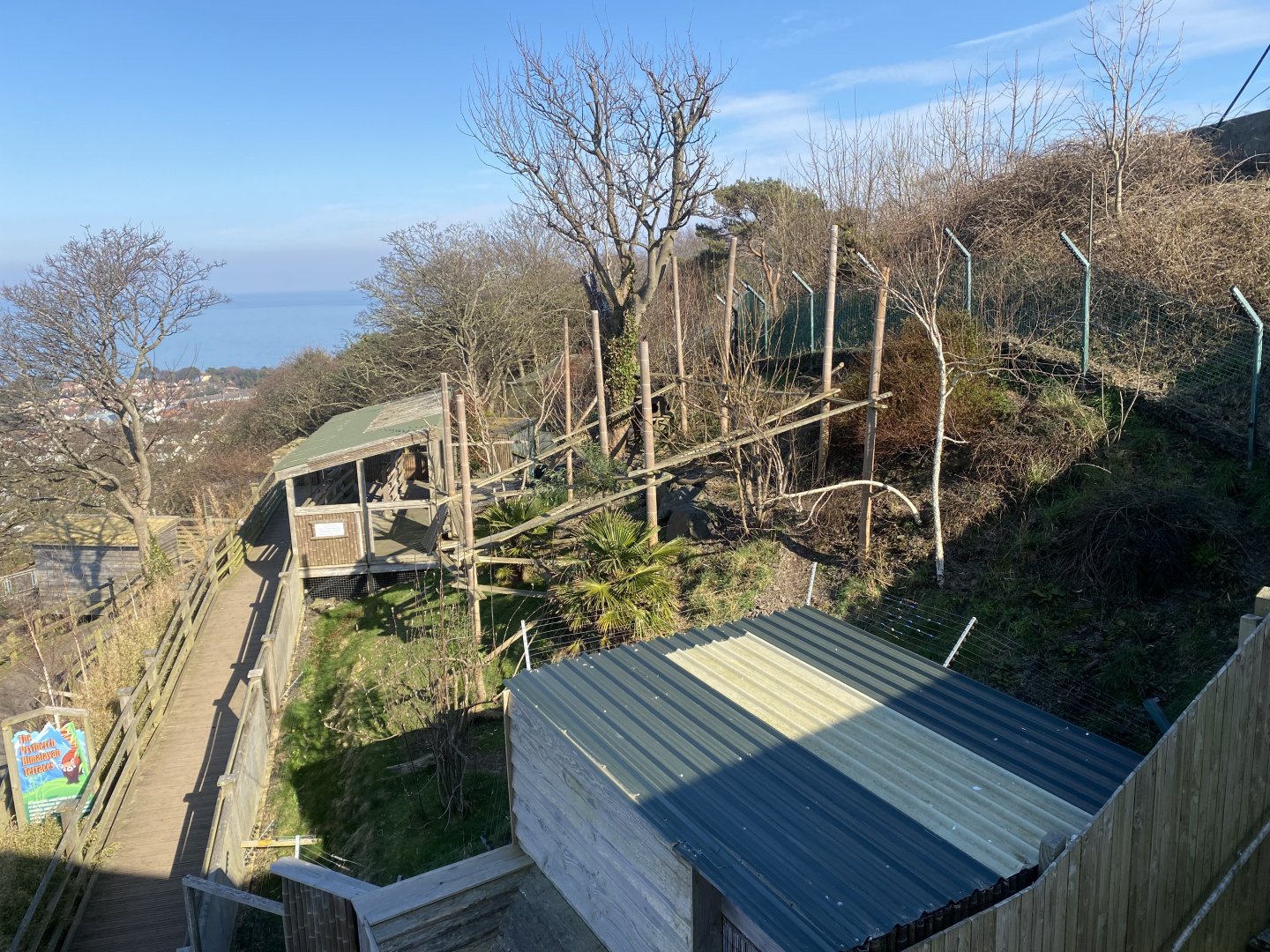 Nepalese red panda enclosure from above 190325