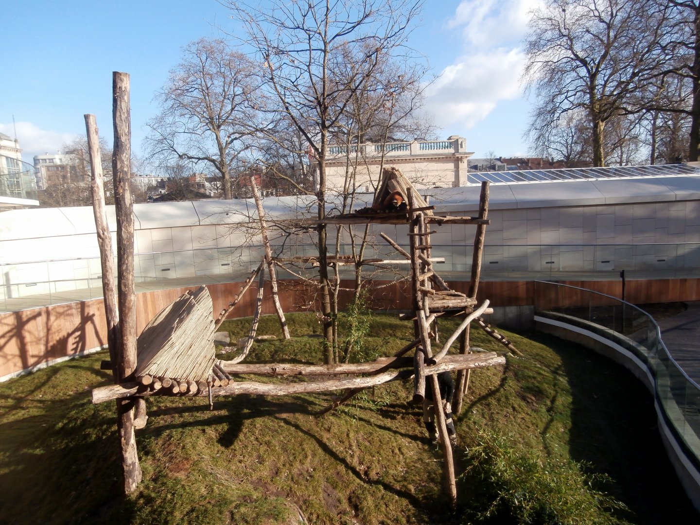 Nepalese red panda enclosure