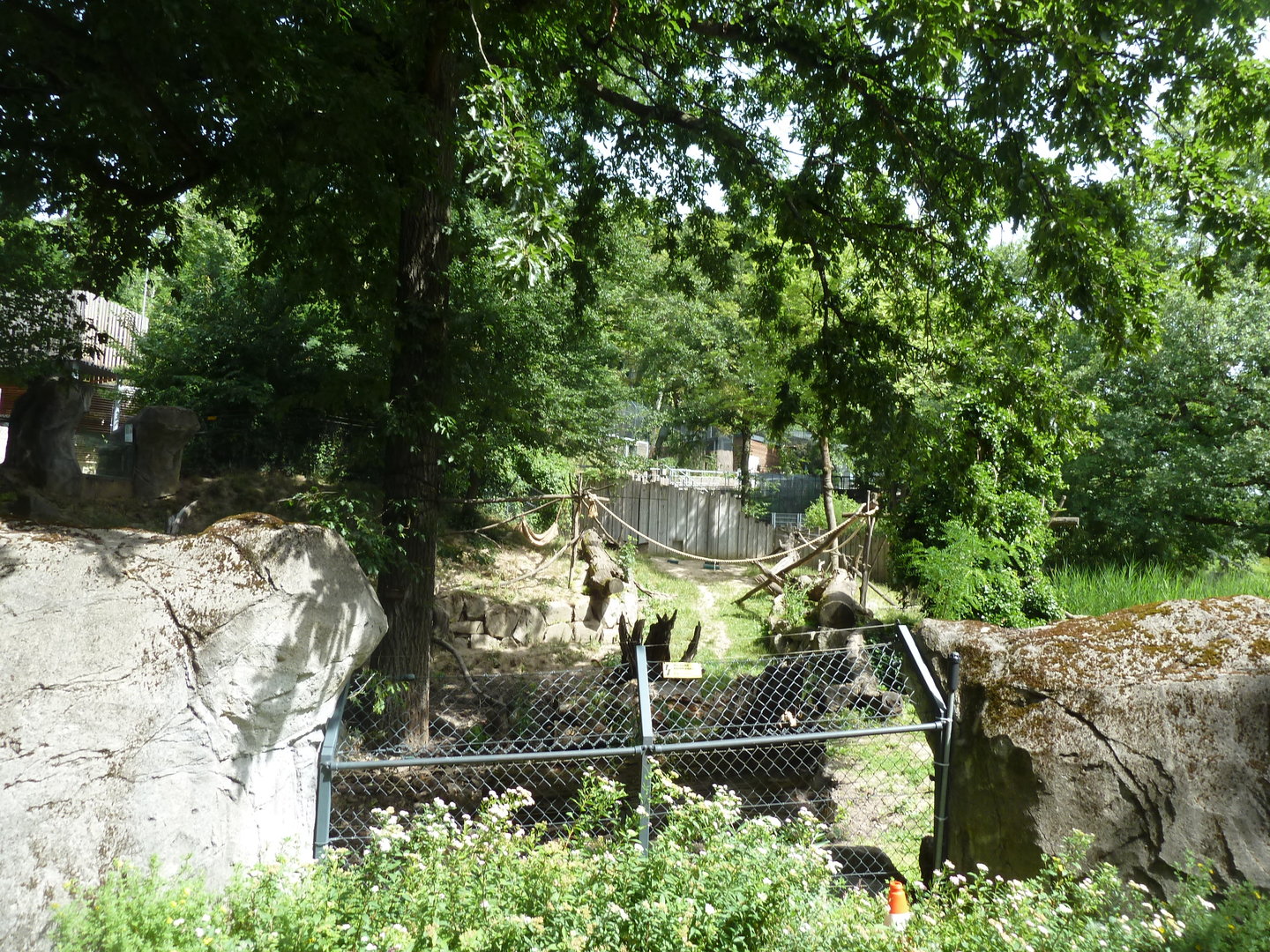 Nepalese red panda enclosure