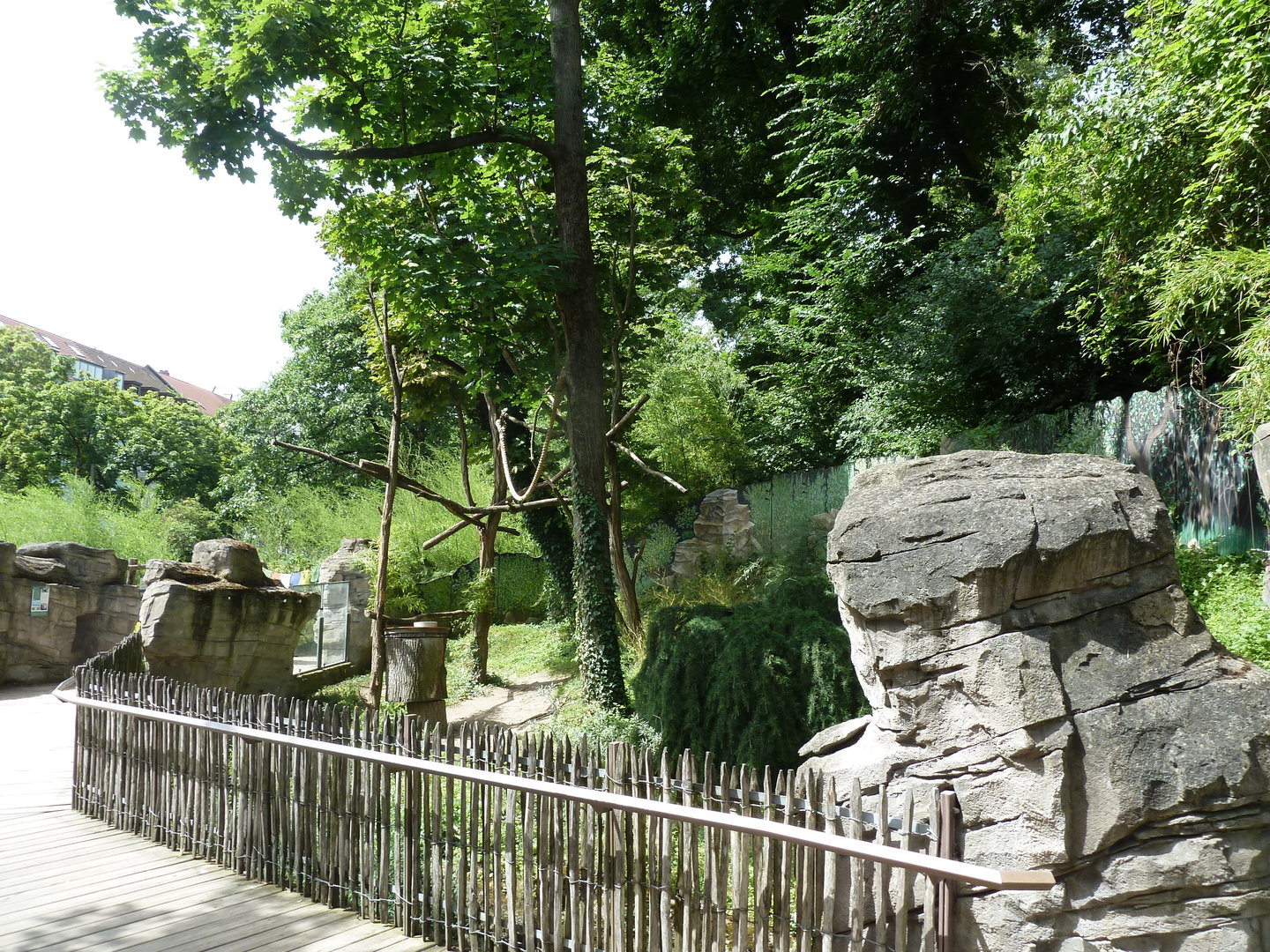 Nepalese red panda enclosure