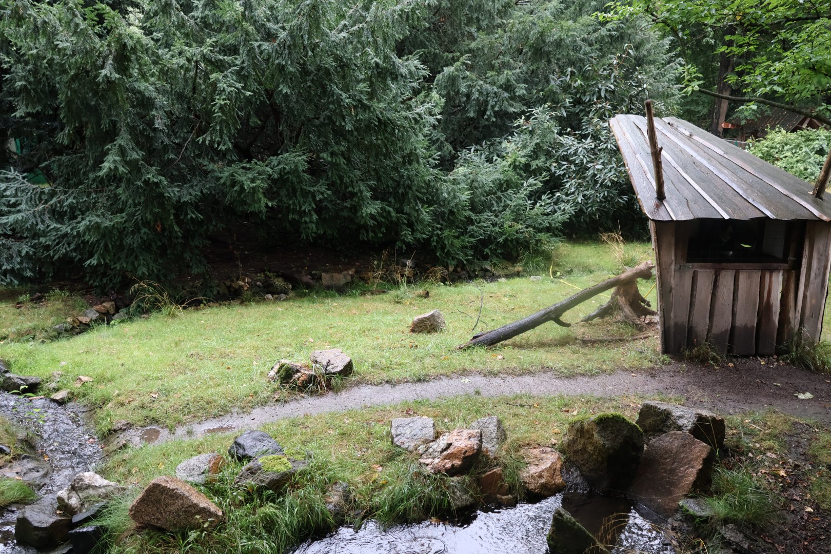 Nepalese red panda enclosure