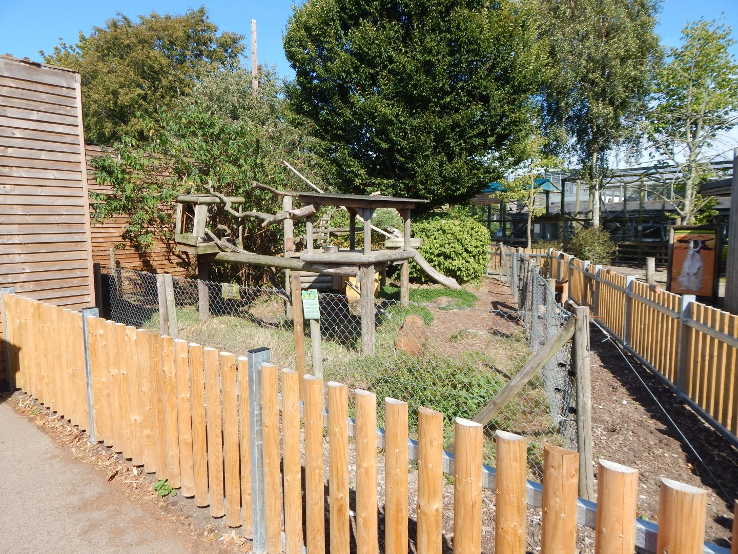 Nepalese red panda exhibit 030924