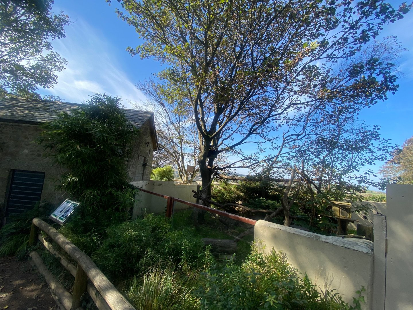 Nepalese red panda exhibit 081023