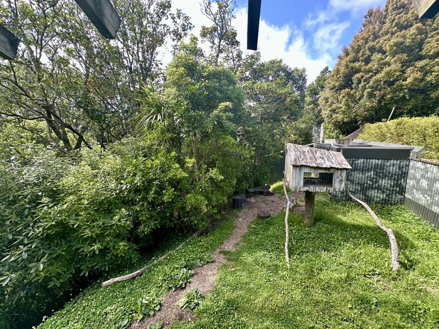 Nepalese Red Panda Exhibit 2