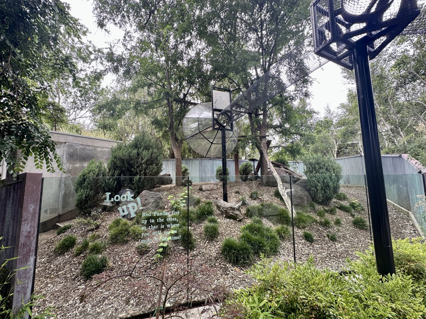 Nepalese Red Panda Exhibit 3