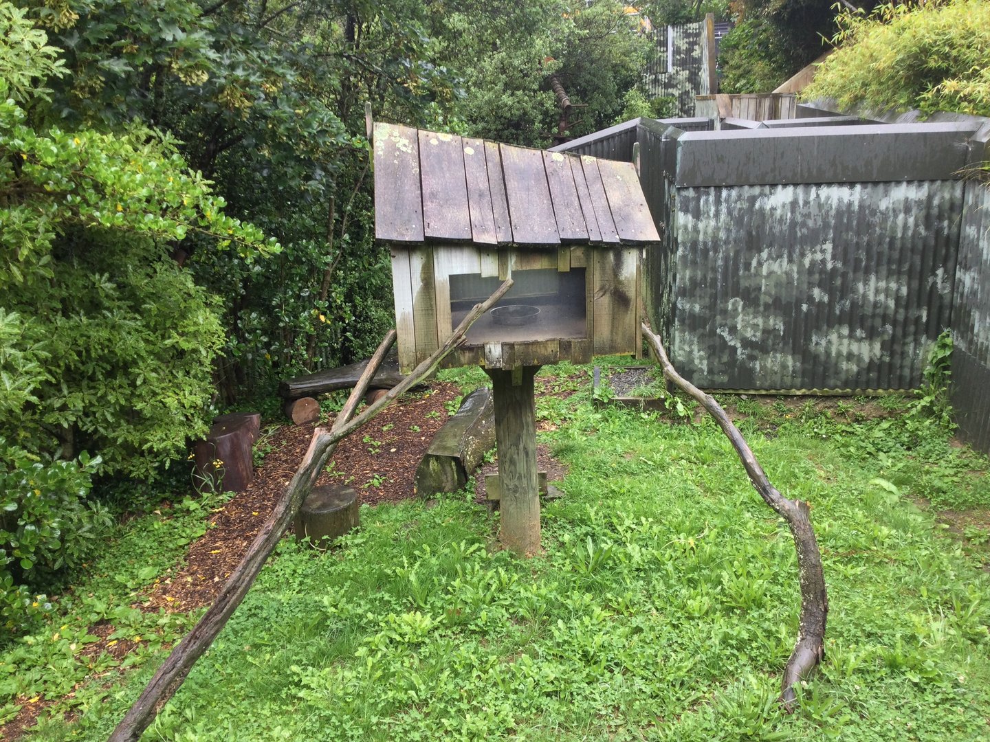 Nepalese Red Panda Exhibit (Front Exhibit)