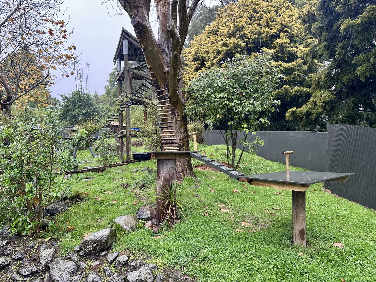 Nepalese Red Panda Exhibit (New Climbing Platform)