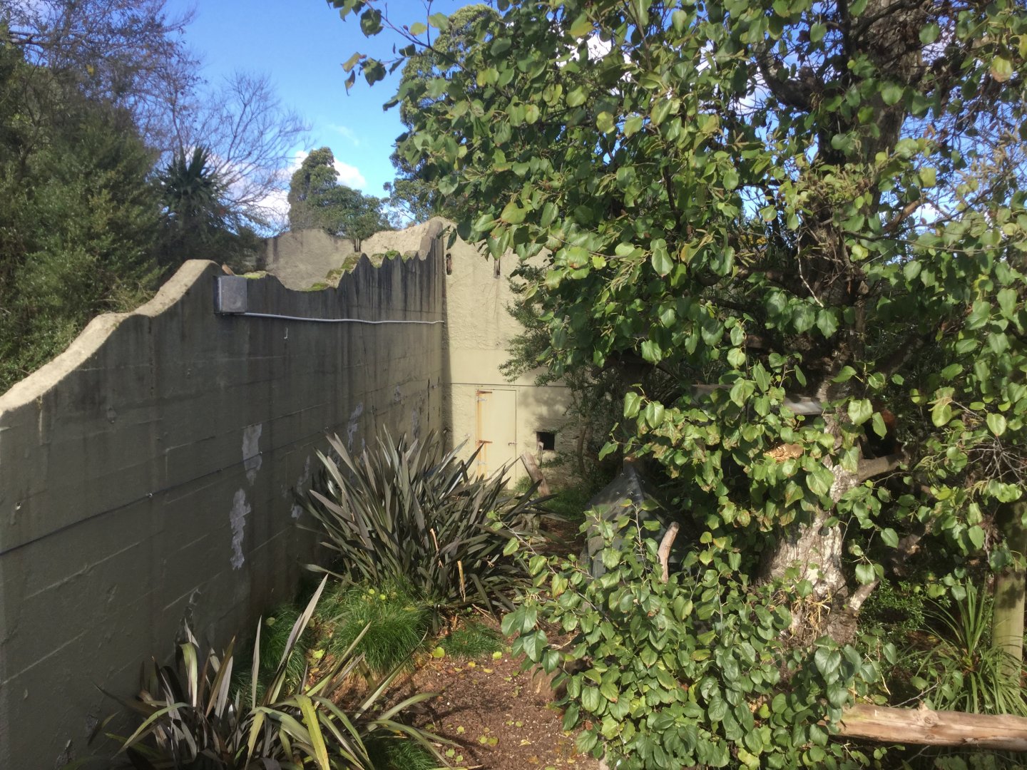 Nepalese Red Panda Exhibit (Off Display)
