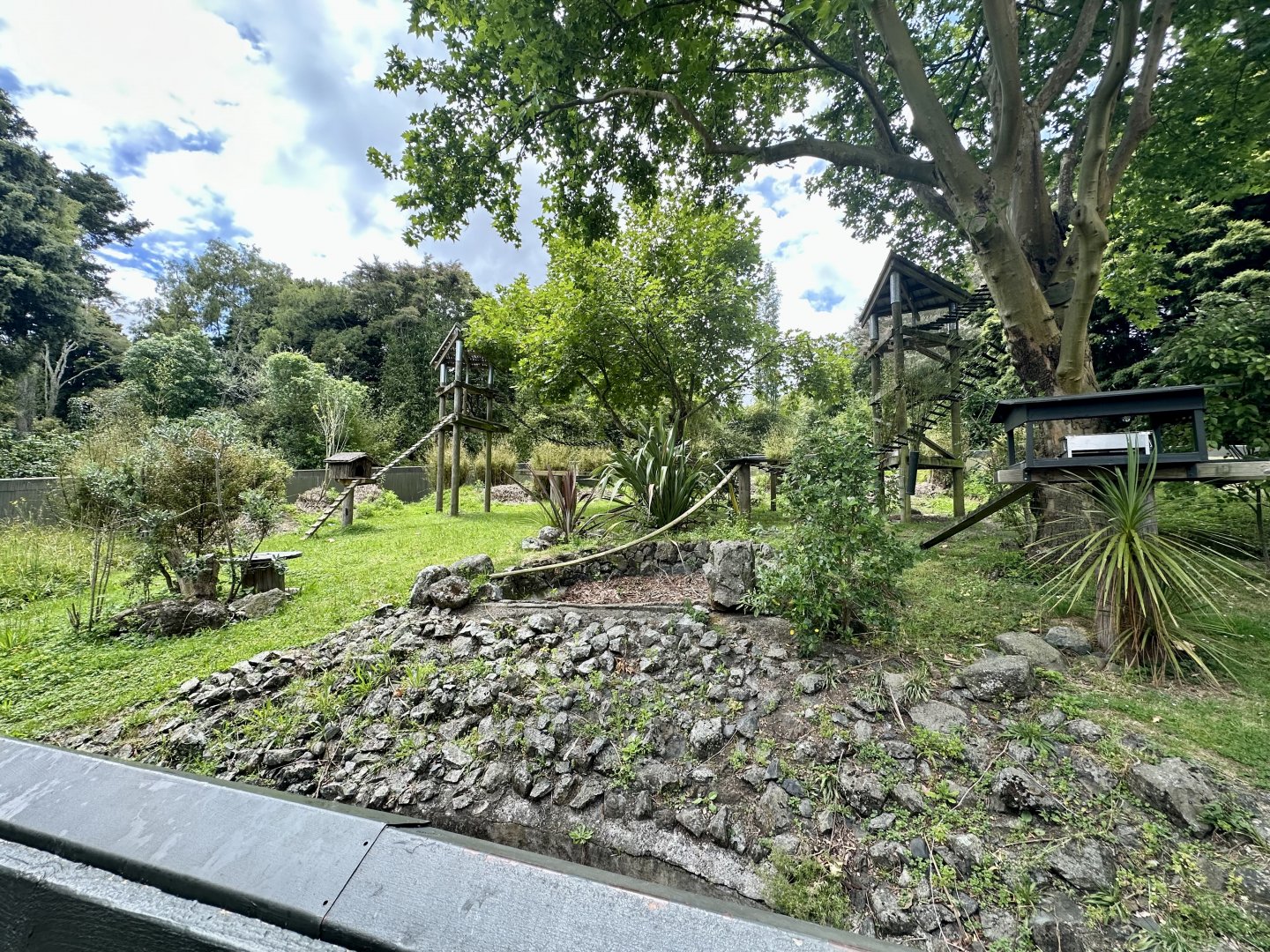 Nepalese Red Panda Exhibit (Summer)