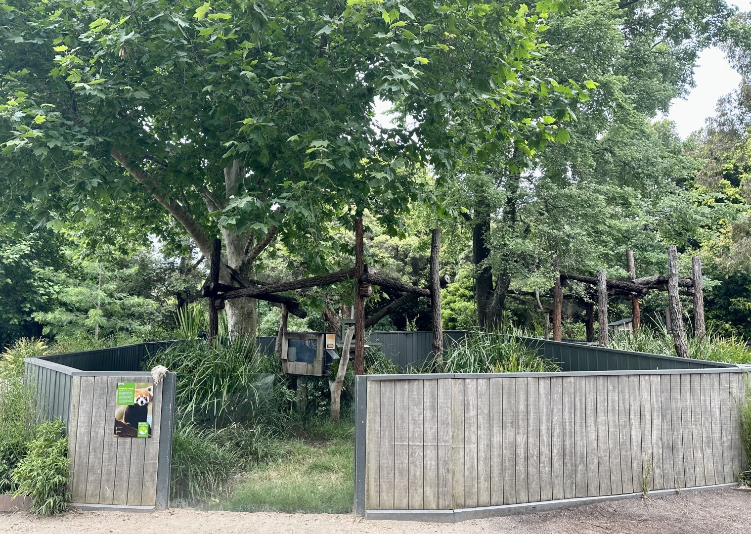 Nepalese Red Panda Exhibit