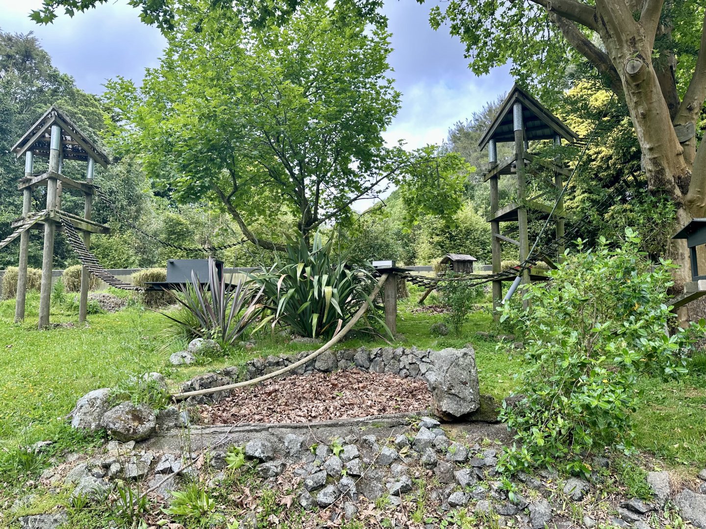 Nepalese Red Panda Exhibit