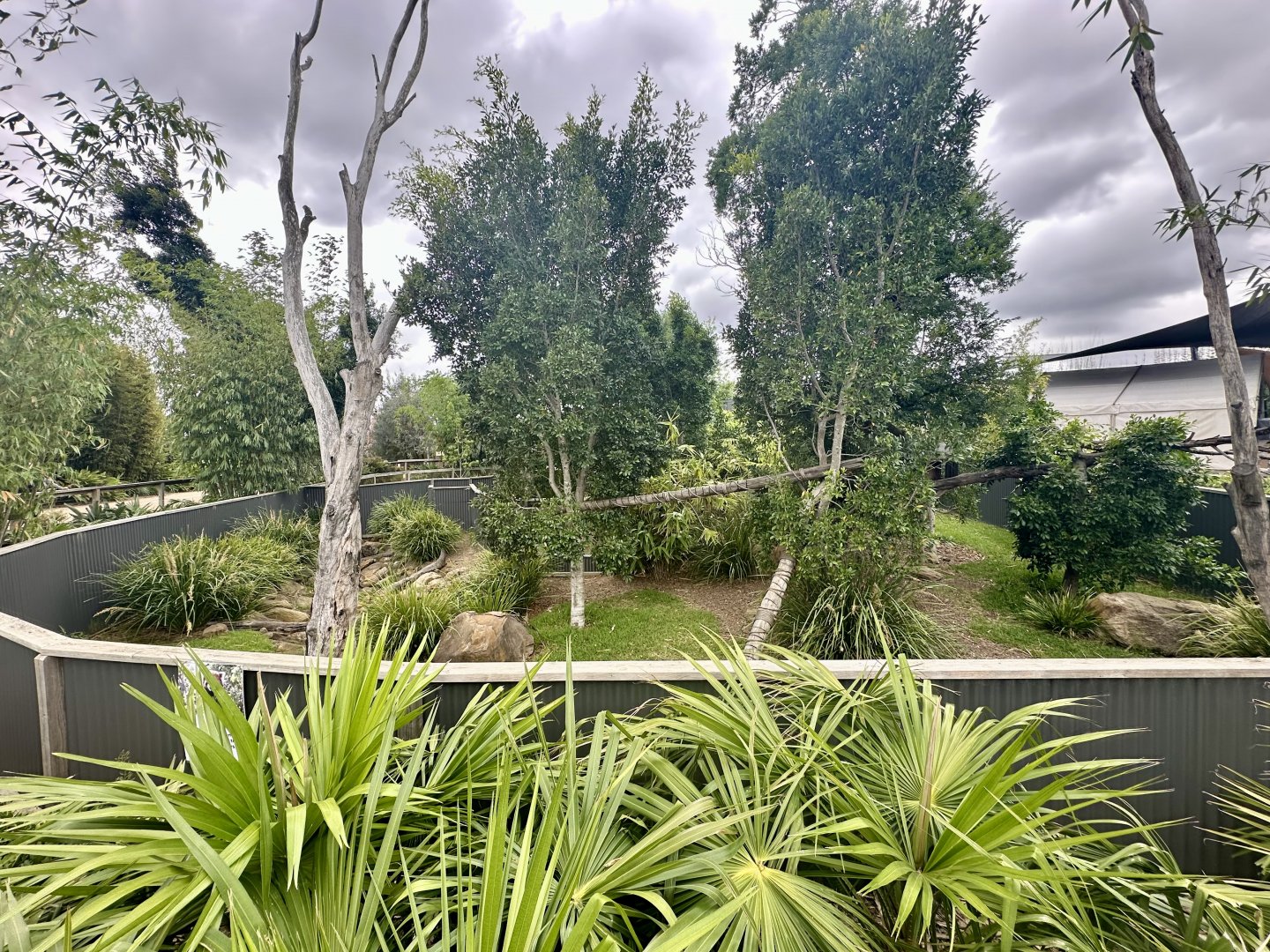 Nepalese Red Panda Exhibit