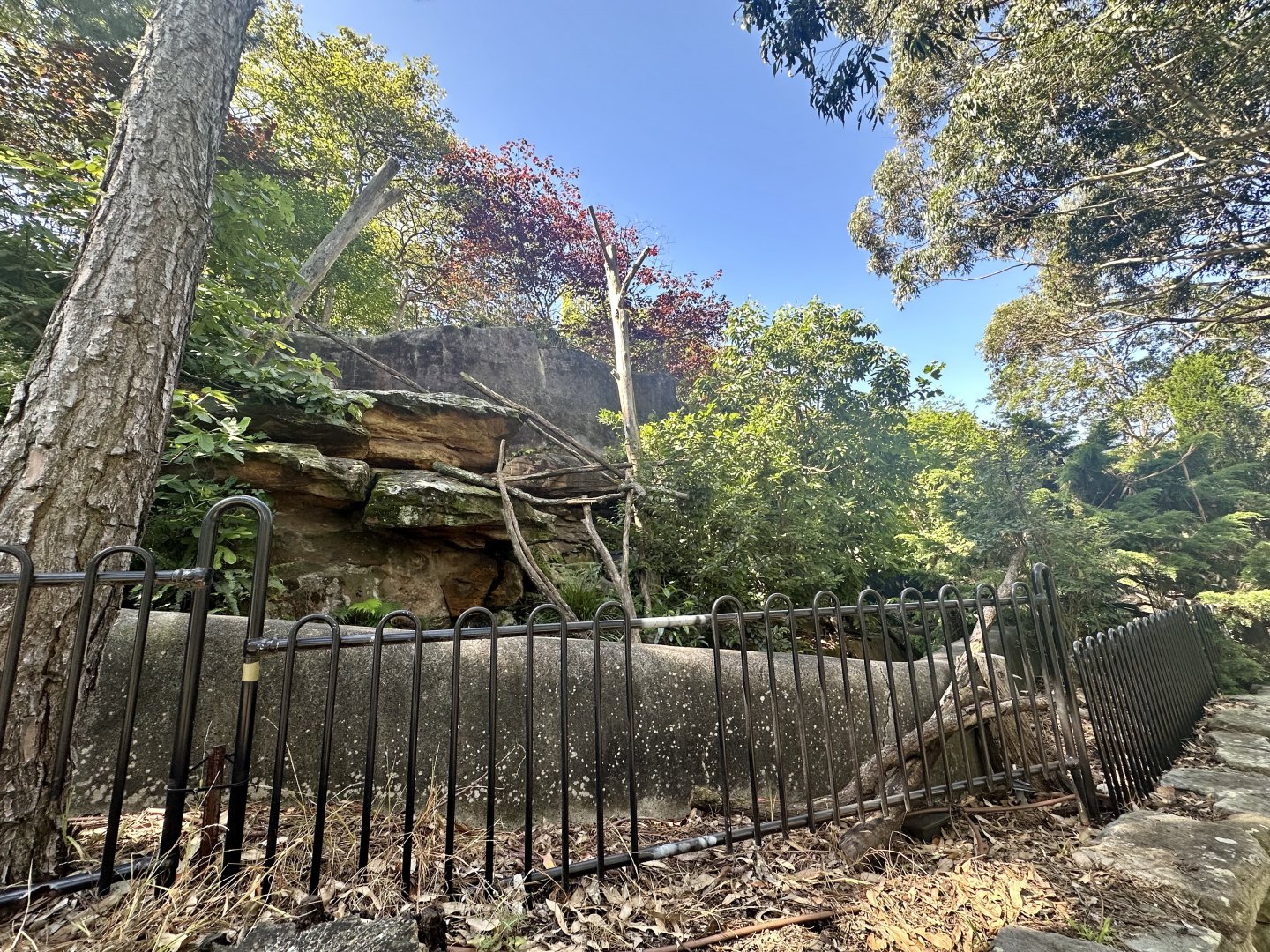 Nepalese Red Panda Exhibit