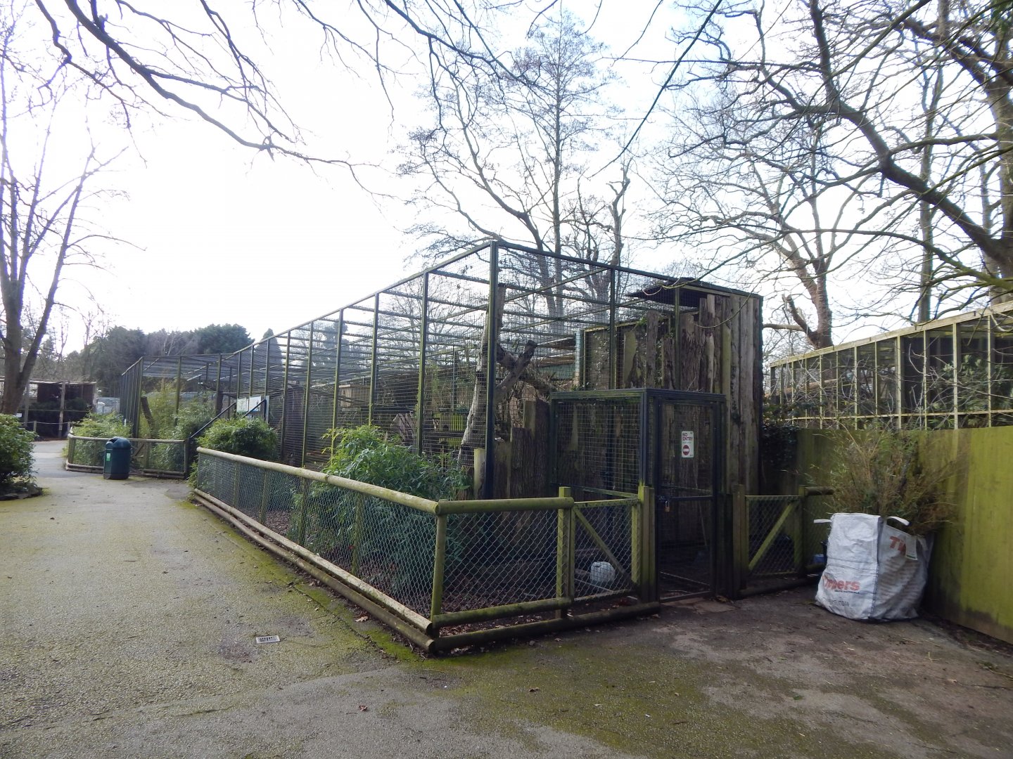 Nepalese red panda habitat 040324