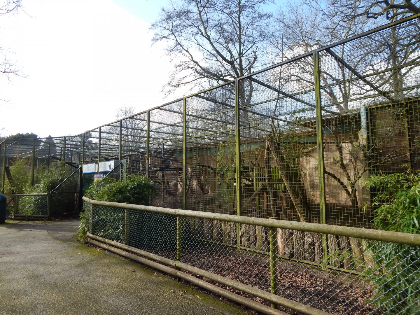 Nepalese red panda habitat 040324