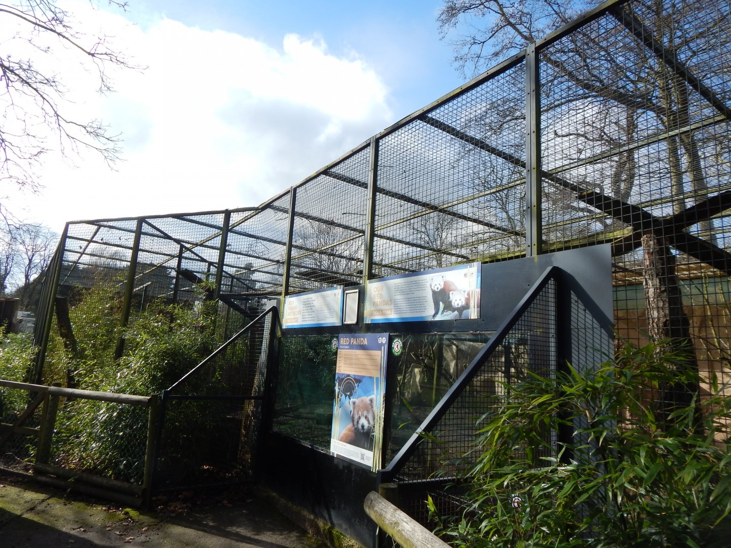 Nepalese red panda habitat 040324