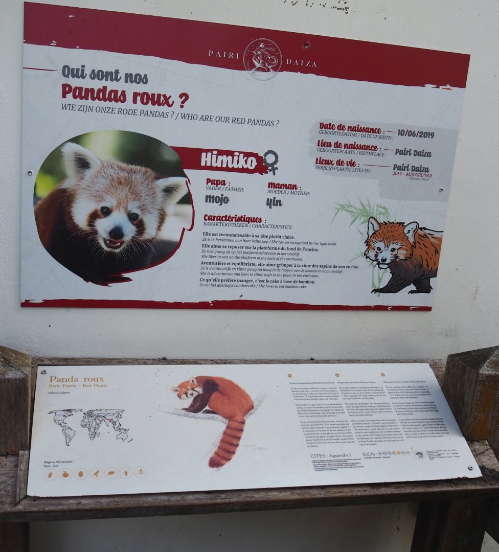 Nepalese red panda signage, 2021-09-03