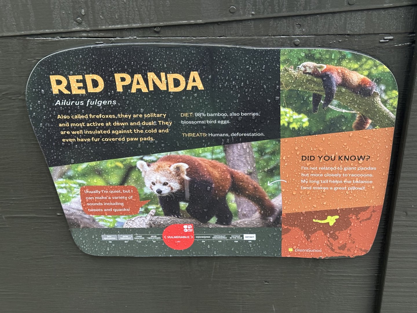 Nepalese Red Panda Signage