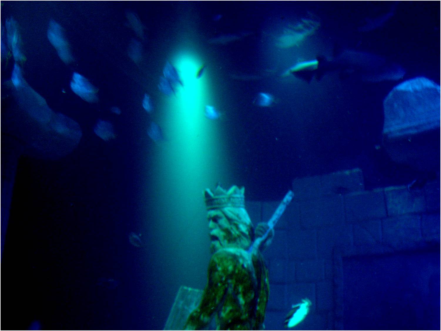 Neptune in the Main Tank at Sea Life Porto, 21/04/11