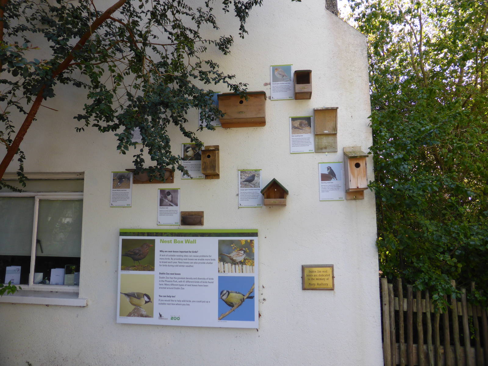 Nest box wall .