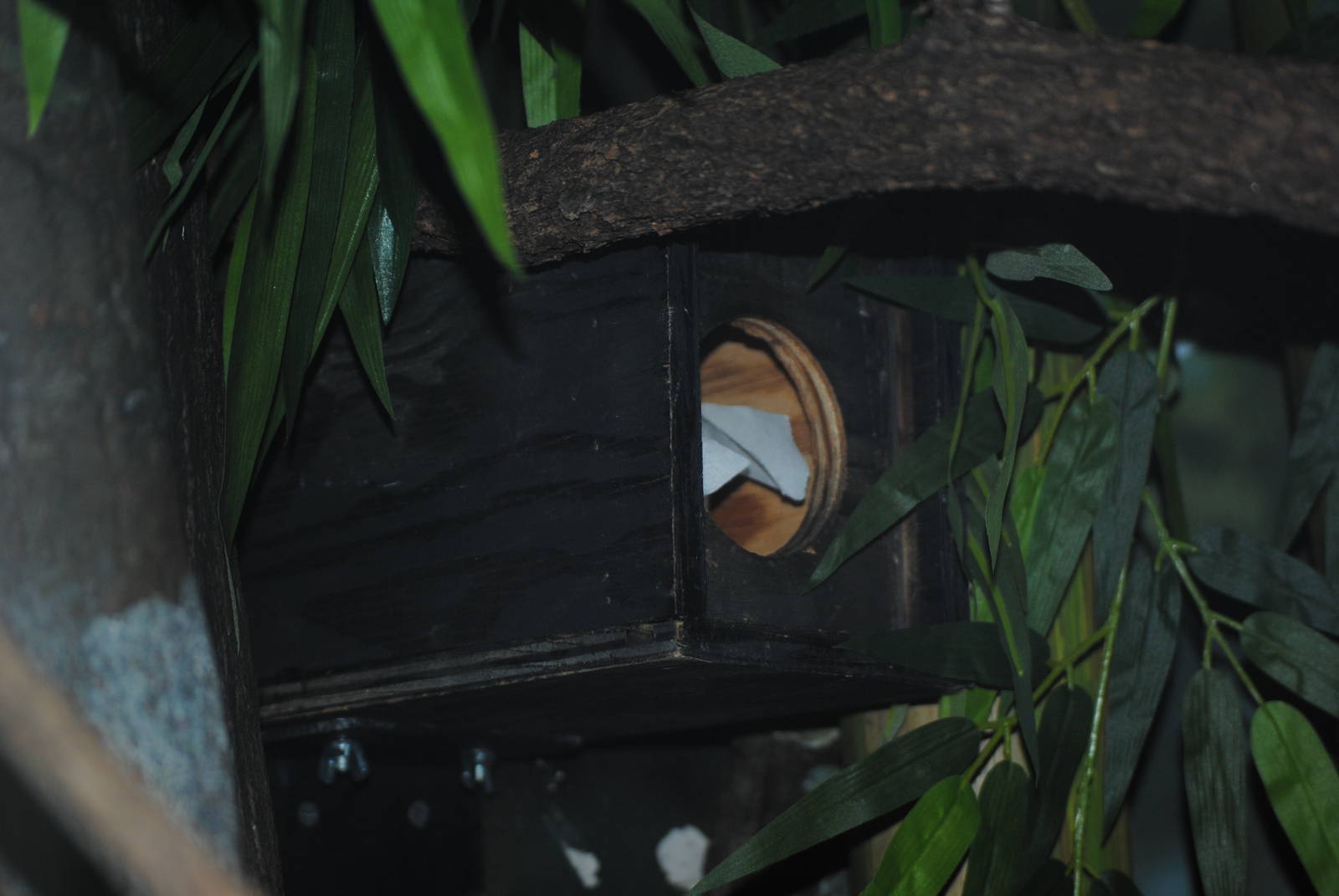 Nest Box