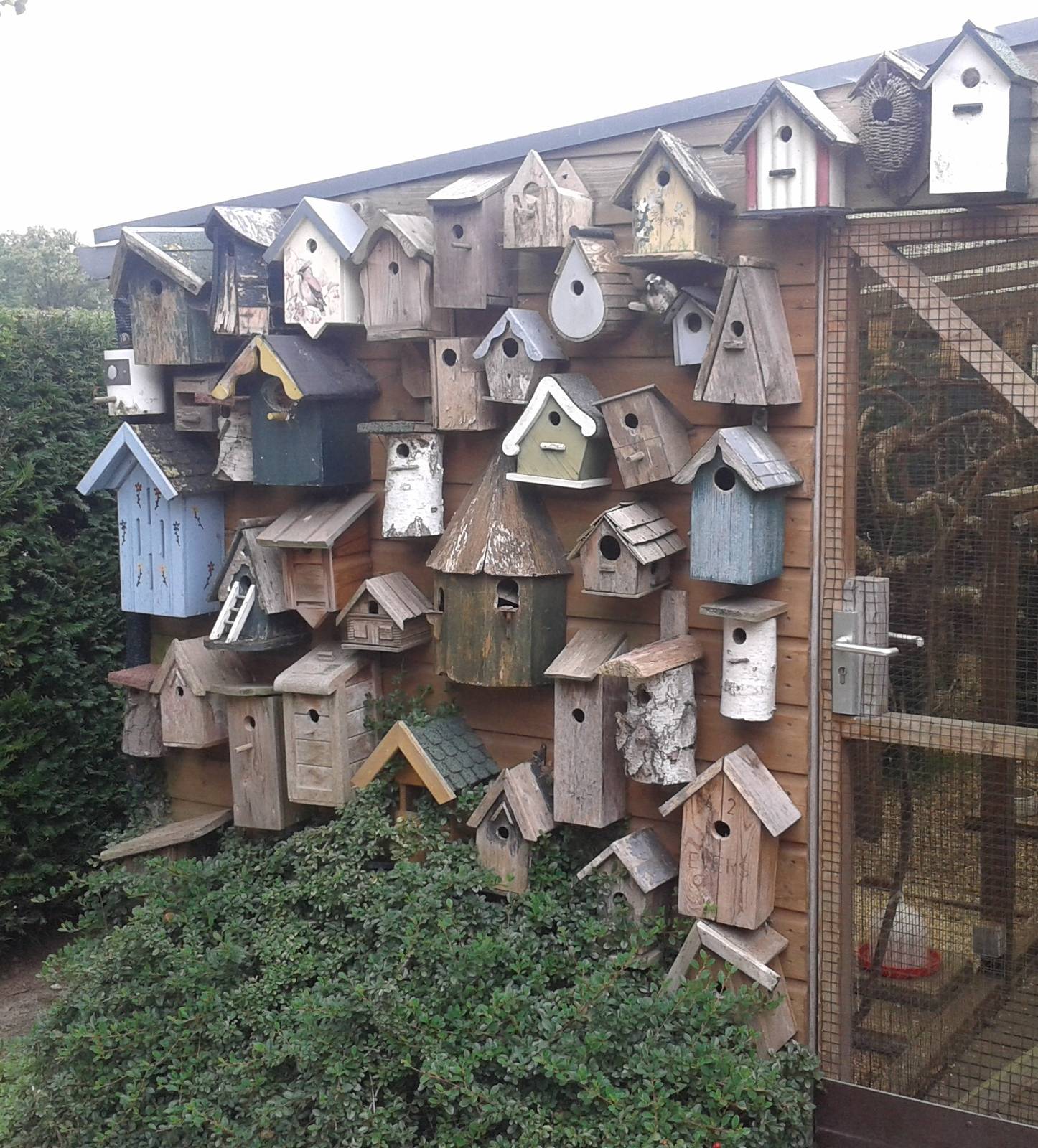 Nest boxes