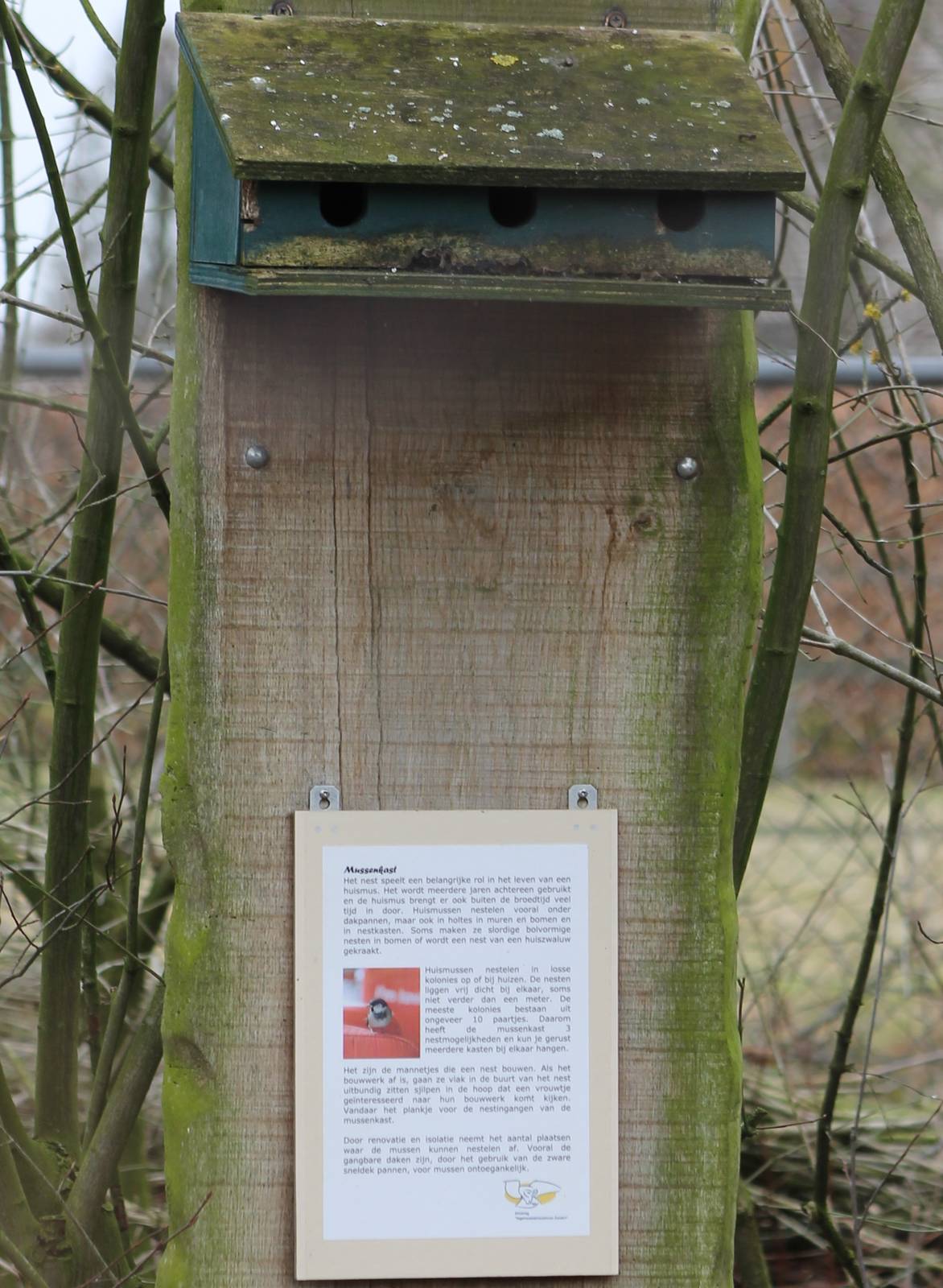 nestbox with education panel