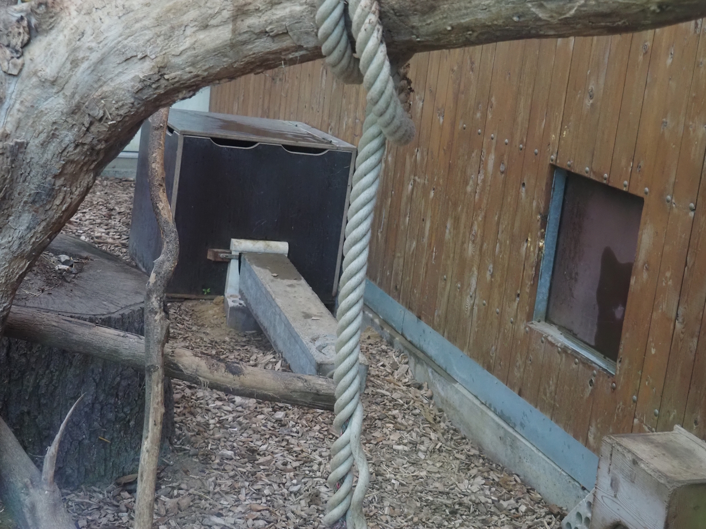 Nesting box for Malagasy giant jumping rats in black-and-white ruffed lemur indoor housing, 2024-06-08
