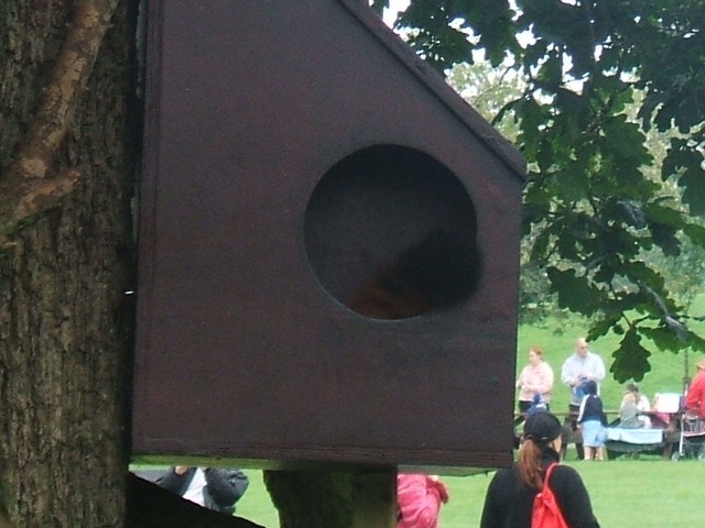 Nesting box