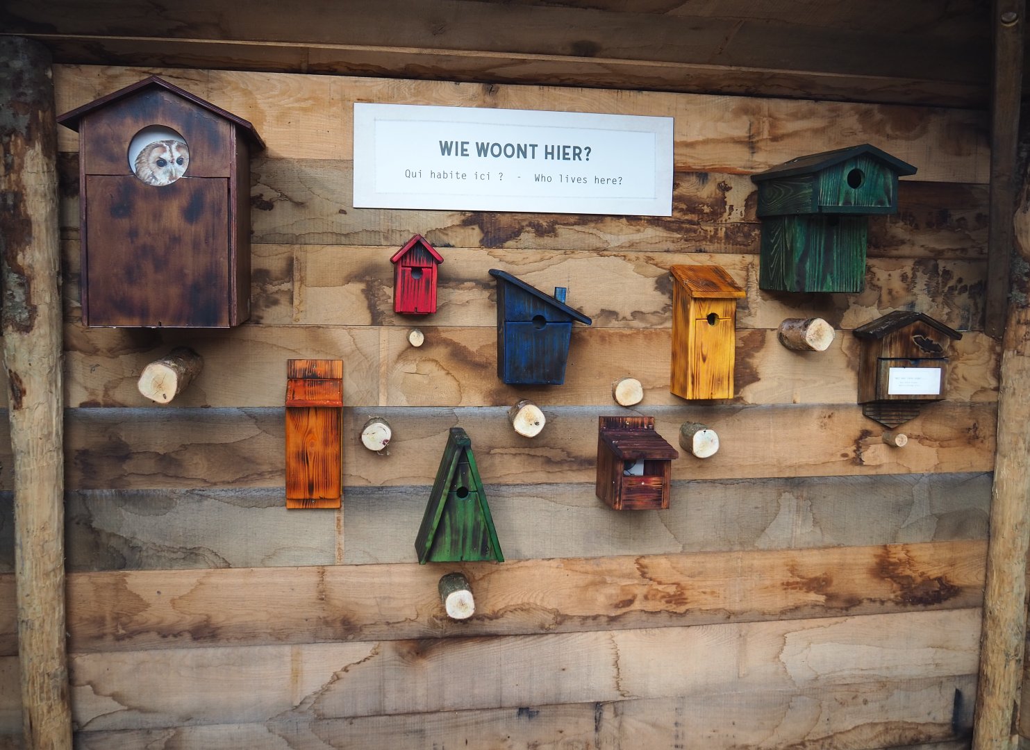 Nesting boxes display near the wildlife feeding area, 2021-12-07