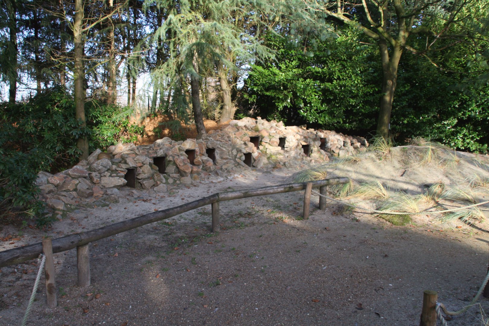 nesting boxes in the African penguin enclosure