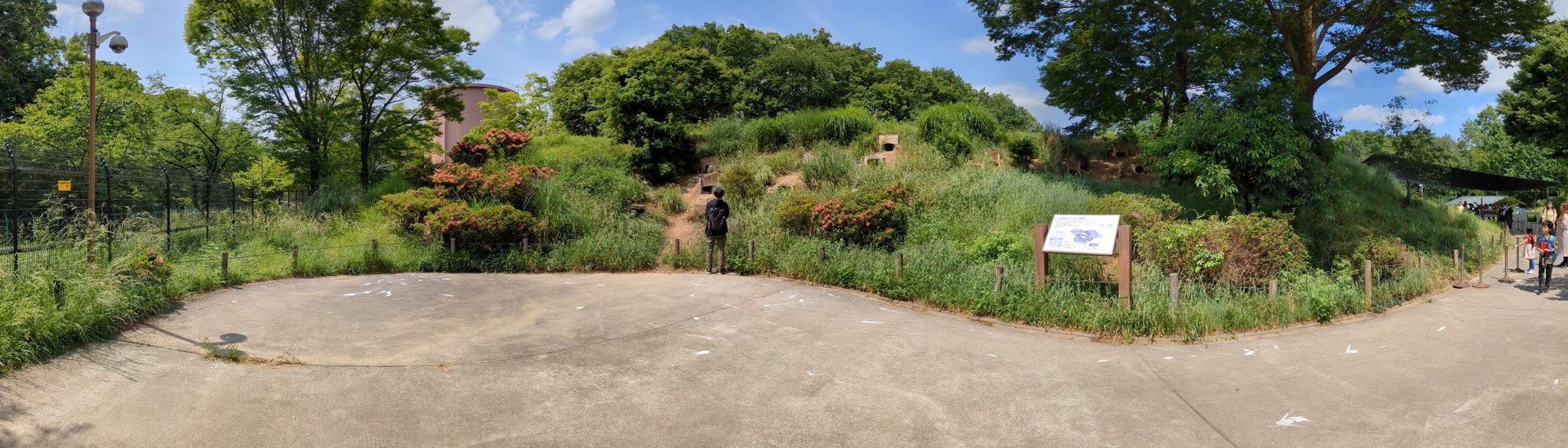 Nesting sites in Penguin Hills