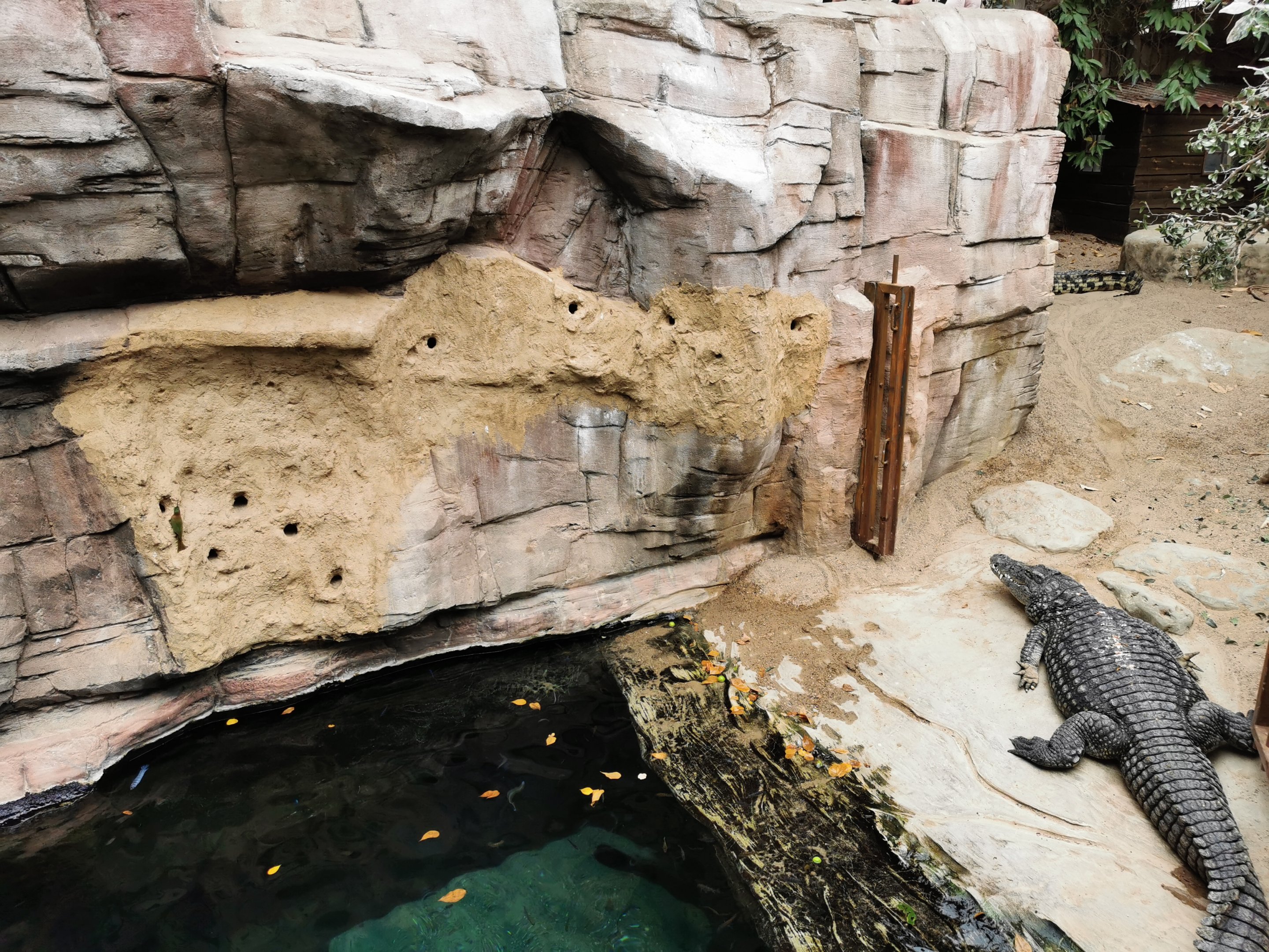 Nesting tunnels for bee-eaters - Tropen-Aquarium