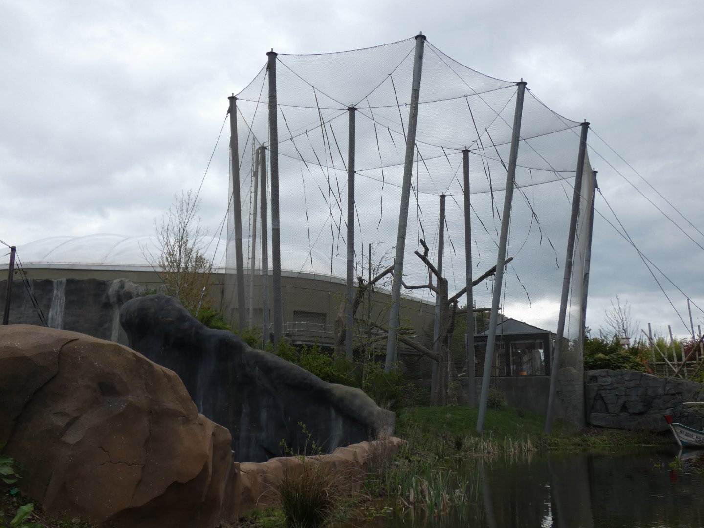 Netted Sumatran Orangutan Enclosure (Currently home to Moloch Gibbon)