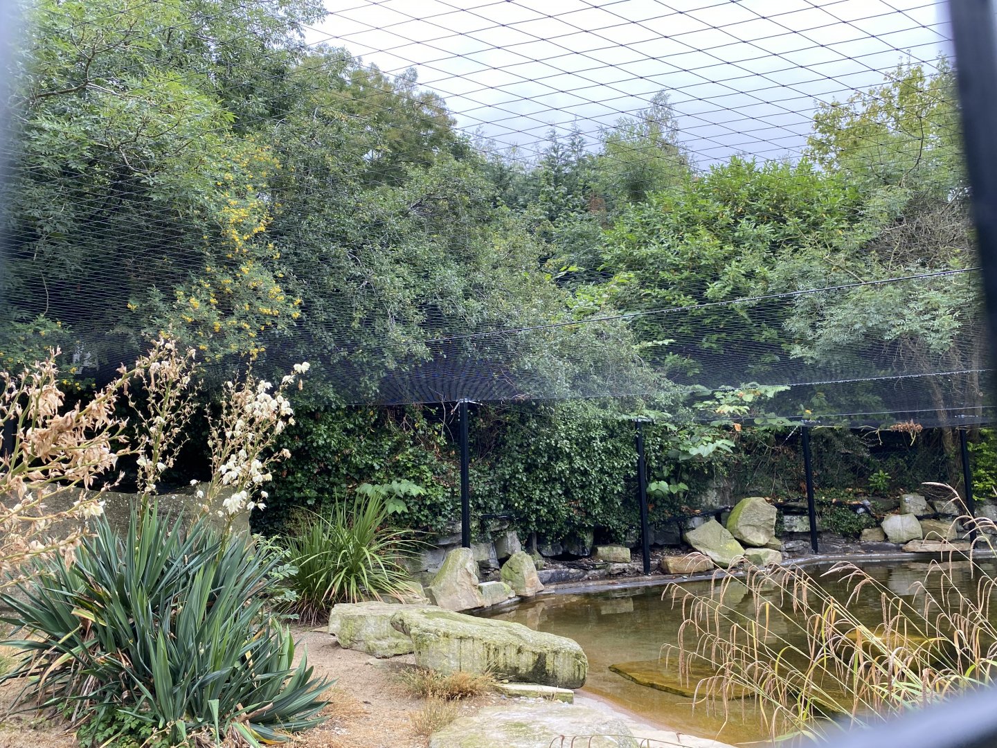 Netting in Humboldt Penguin enclosure