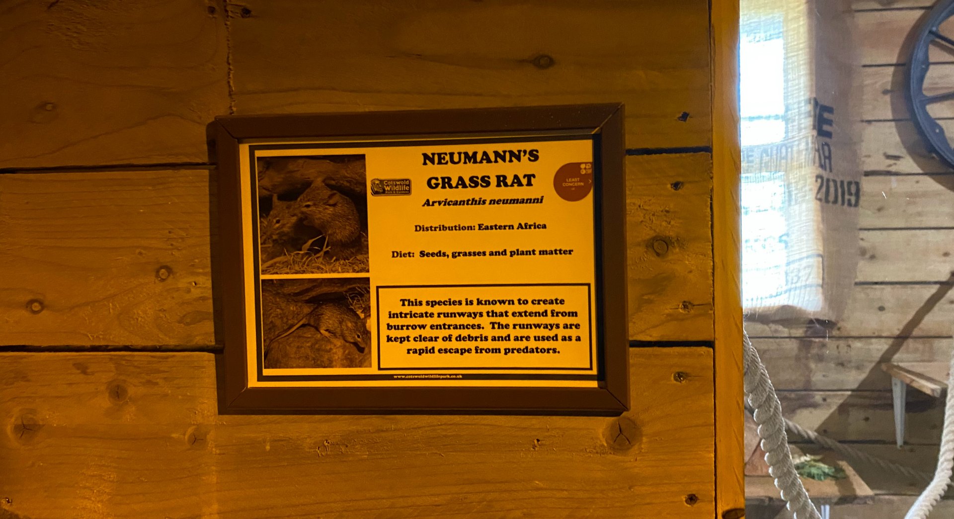 Neumann's grass rat signage, Little Africa, CWP, UK
