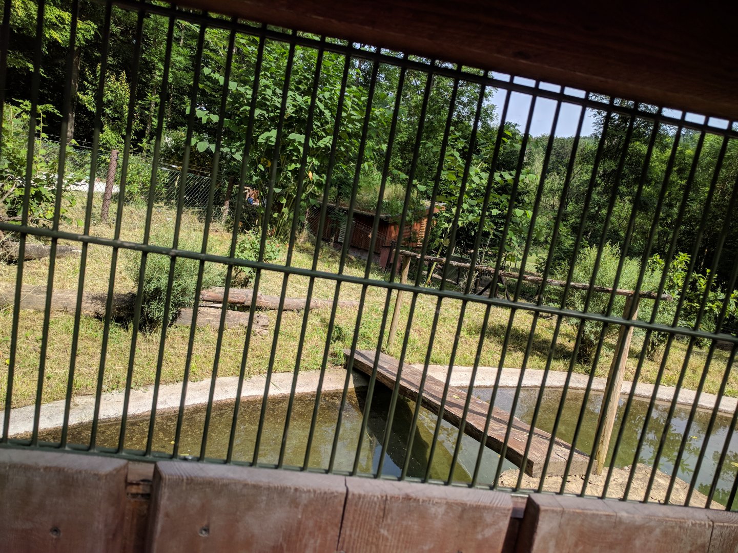 New 2018 River Otter Enclosure