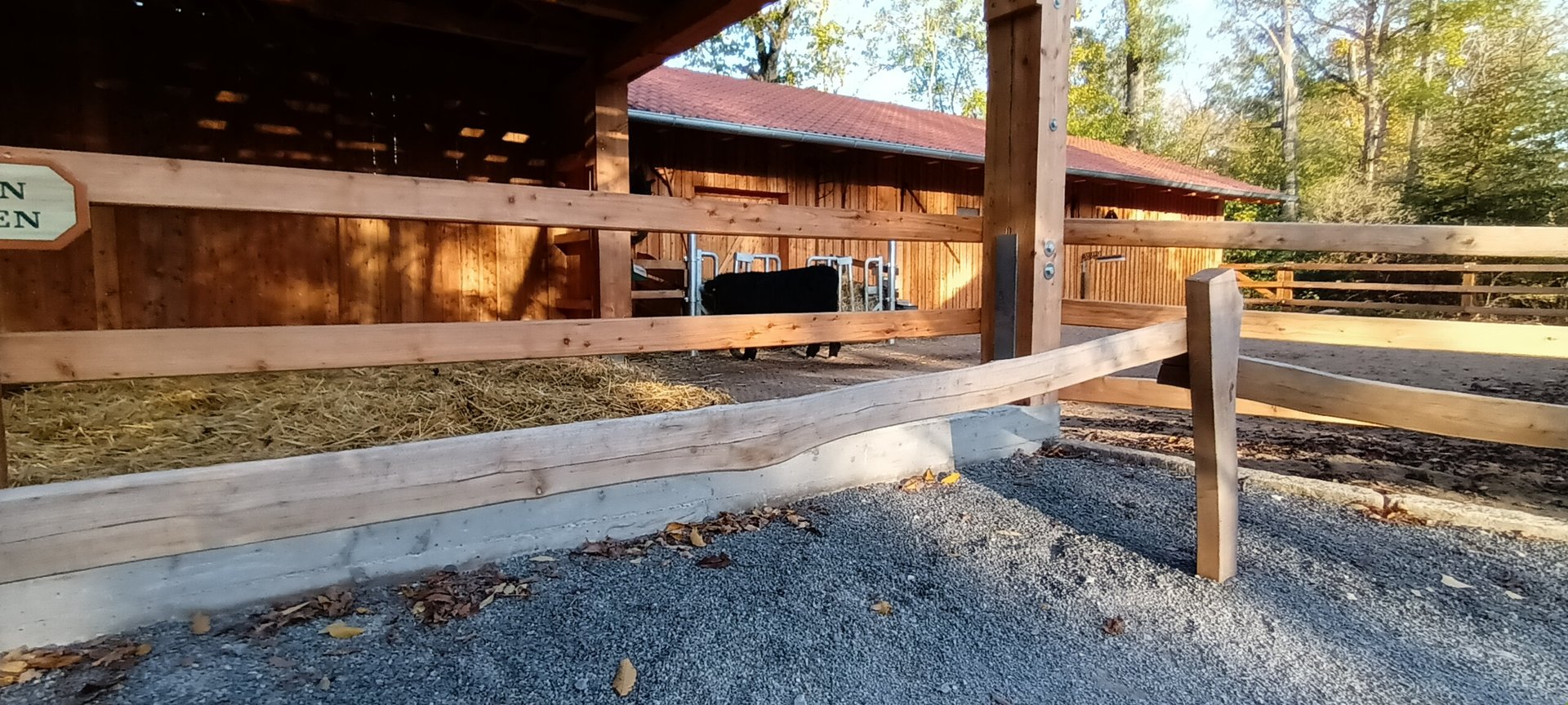 New 2022 Scottish Highland Cattle Enclosure