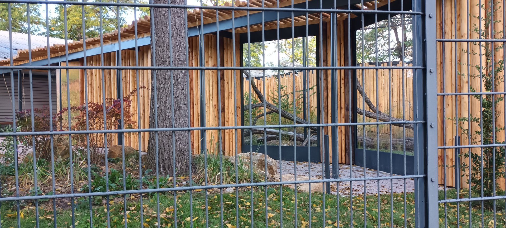 New 2022 Serval Enclosure