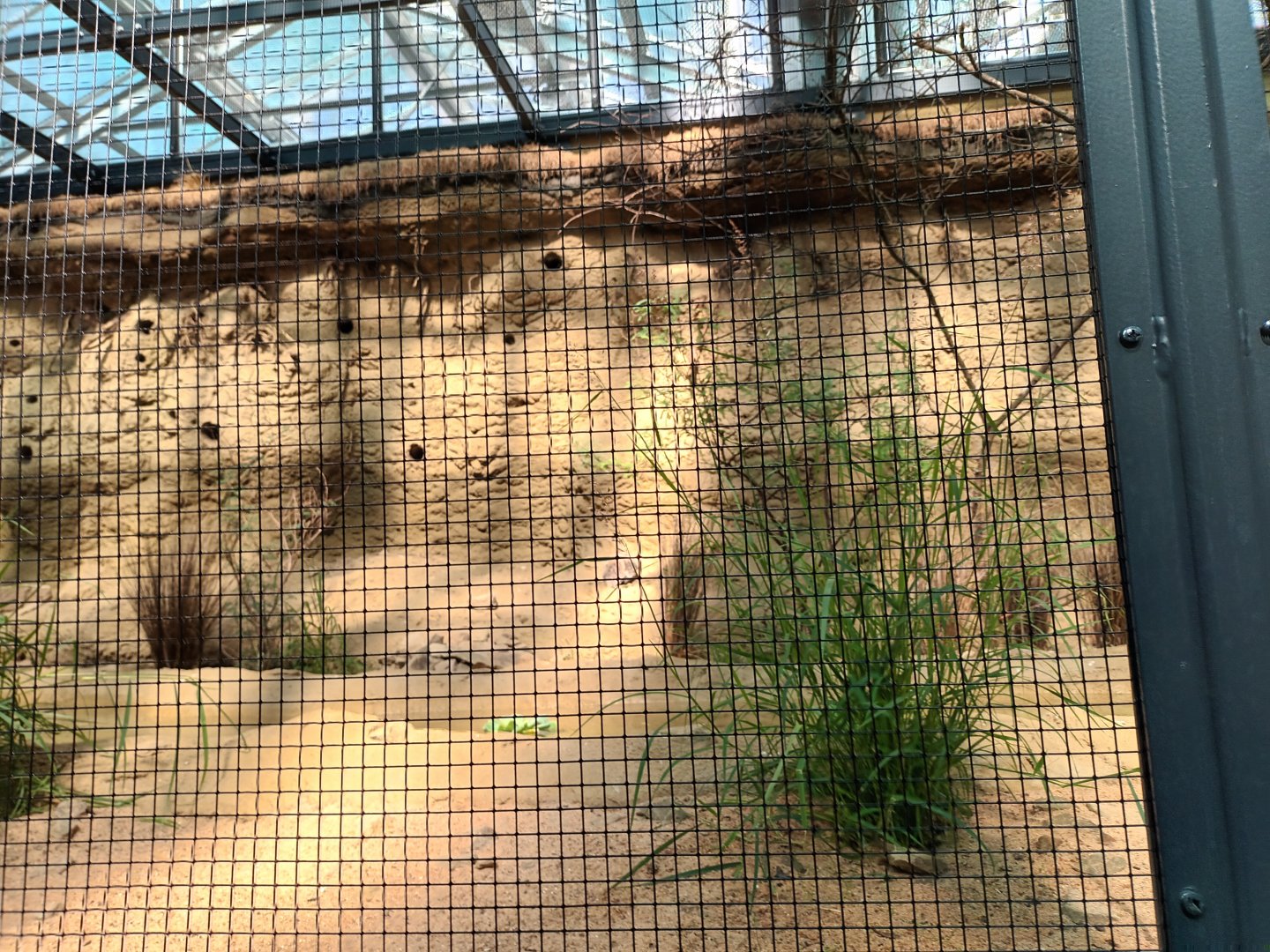 New 2022 small Mammal and Bird House European Hopphoe, European Beeater and Sandgrouse Aviary