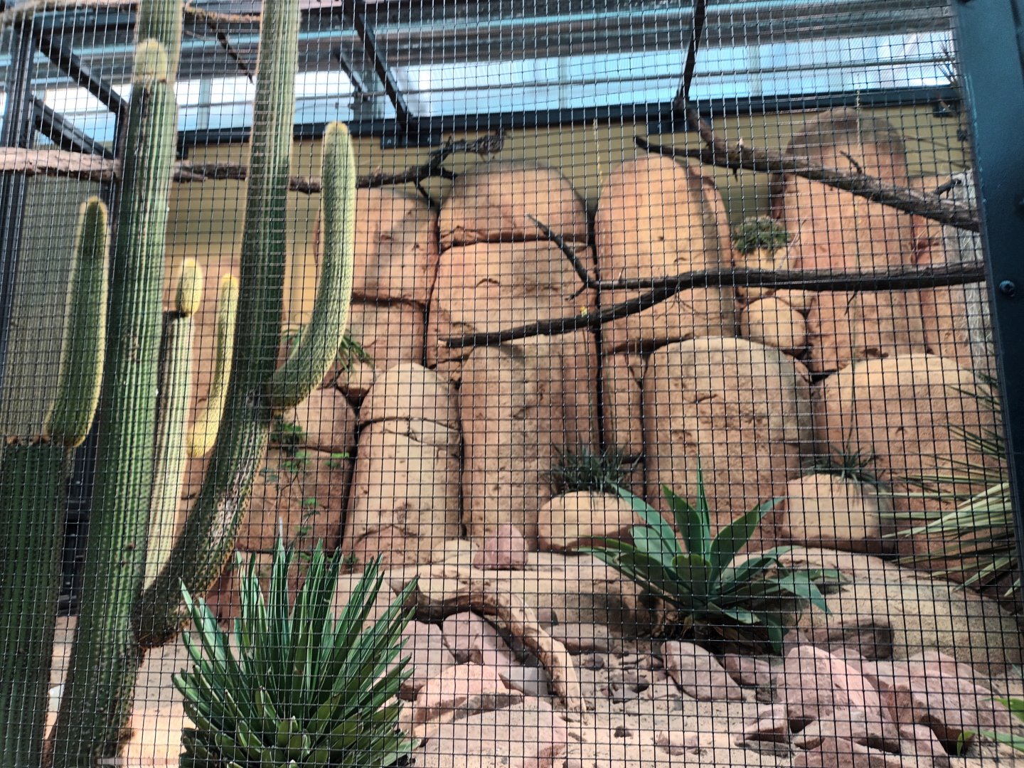 New 2022 small Mammal and Bird House Greater Roadrunner Aviary