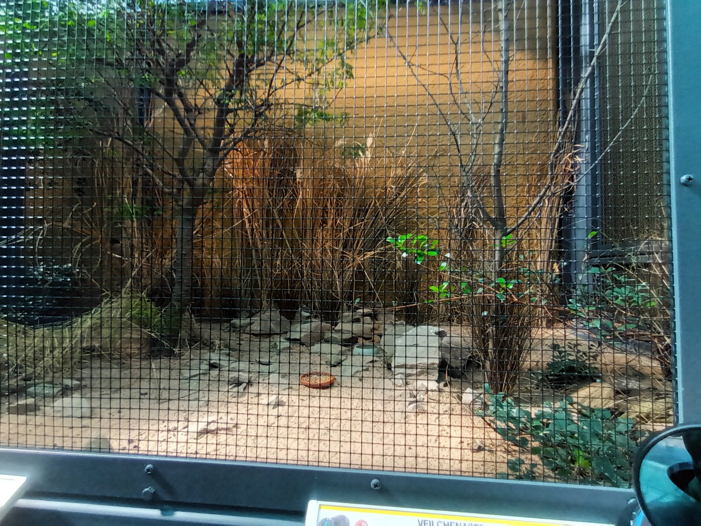 New 2022 small Mammal and Bird House Kittlitz Sand Plover and Variable Sunbird Aviry