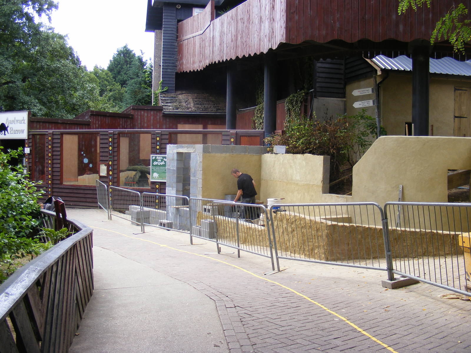 New aadvark burrow 6 August 2009