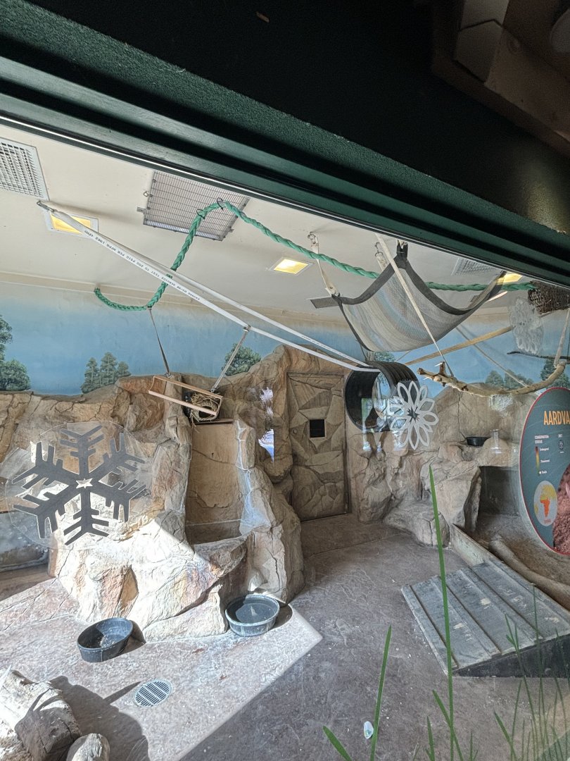 New Aardvark Exhibit Renovations