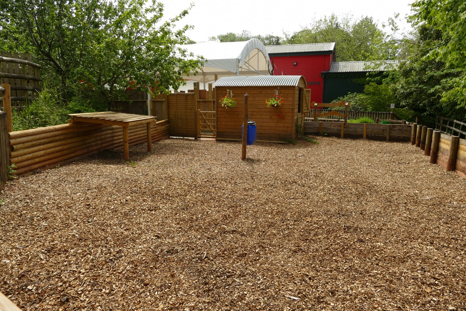 New addition to the Ranch, June 2021