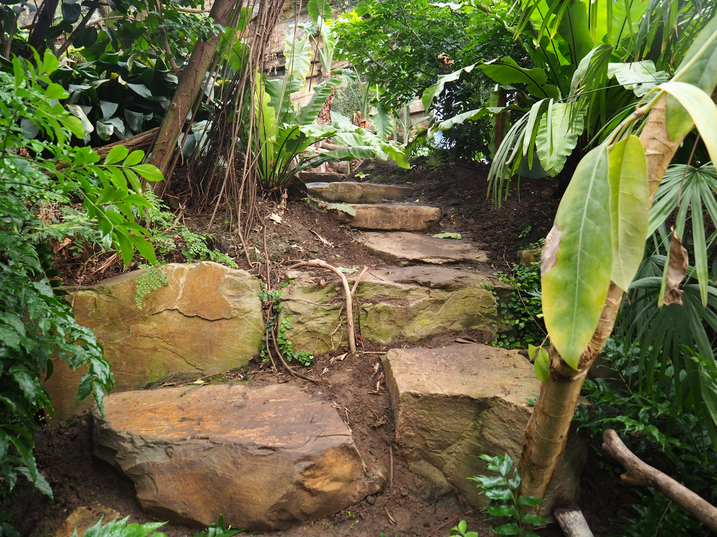 New adventure route, 2022-07-03