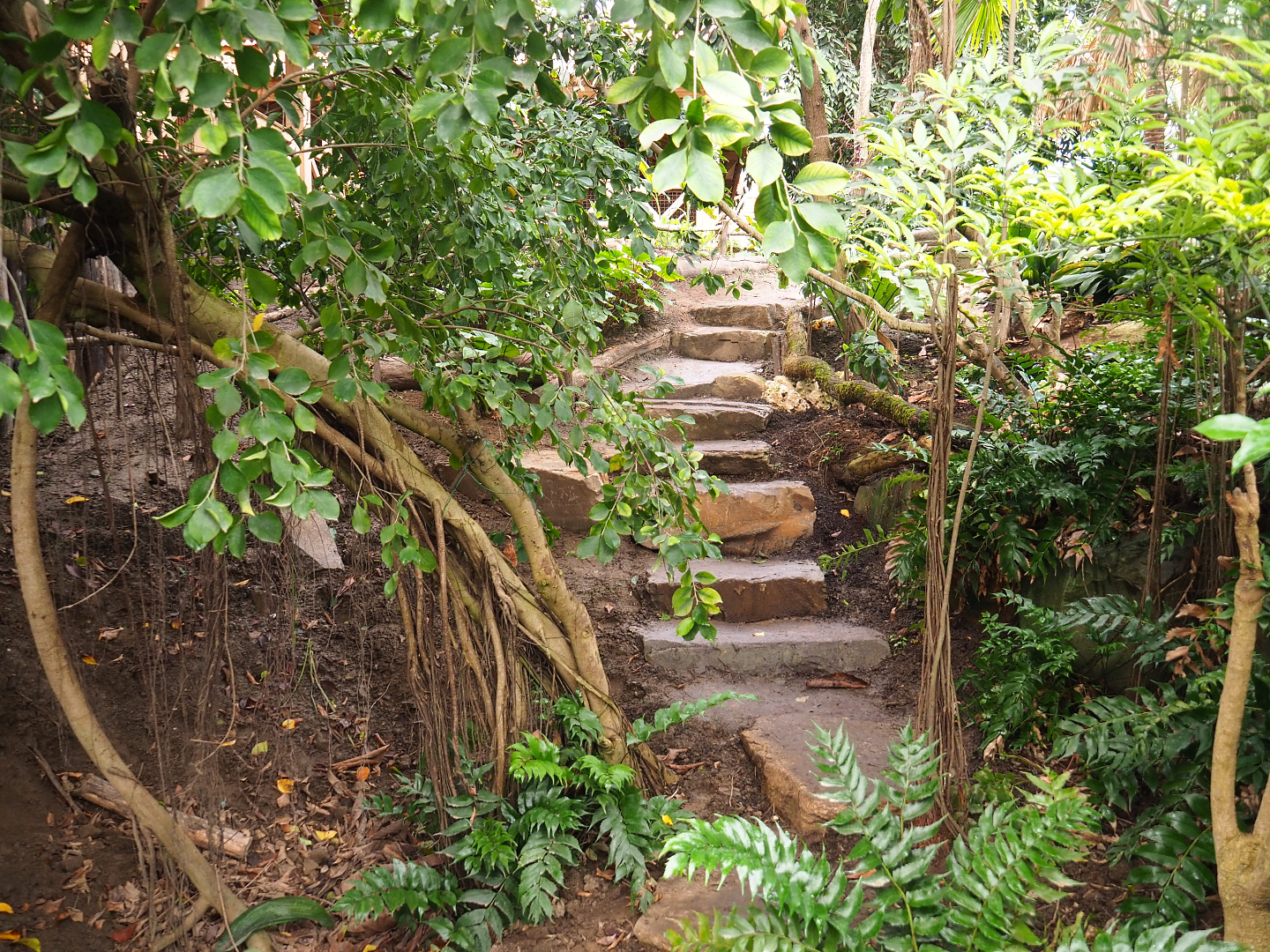 New adventure route, 2022-07-03